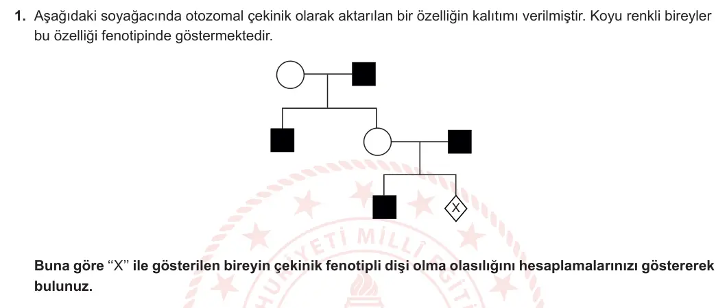10. Sınıf Biyoloji 2023-2024 2. Dönem 2. Yazılı 2. Bölüm 1. Soru görseli