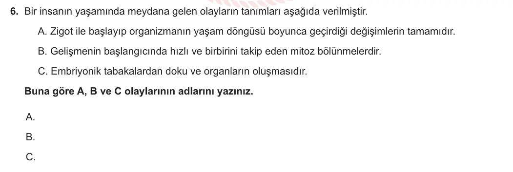 11. Sınıf Biyoloji 2023-2024 2. Dönem 2. Yazılı 1. Bölüm 6. Soru görseli