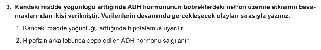 11. Sınıf Biyoloji 2023-2024 2. Dönem 2. Yazılı 2. Bölüm 3. Soru görseli