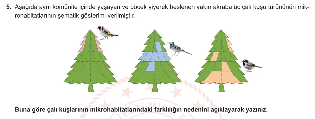 11. Sınıf Biyoloji 2023-2024 2. Dönem 2. Yazılı 2. Bölüm 5. Soru görseli