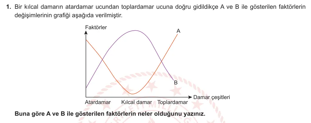 11. Sınıf Biyoloji 2023-2024 2. Dönem 2. Yazılı 3. Bölüm 1. Soru görseli