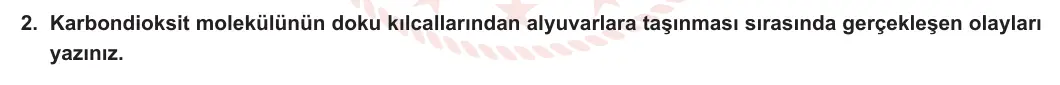 11. Sınıf Biyoloji 2023-2024 2. Dönem 2. Yazılı 3. Bölüm 2. Soru görseli