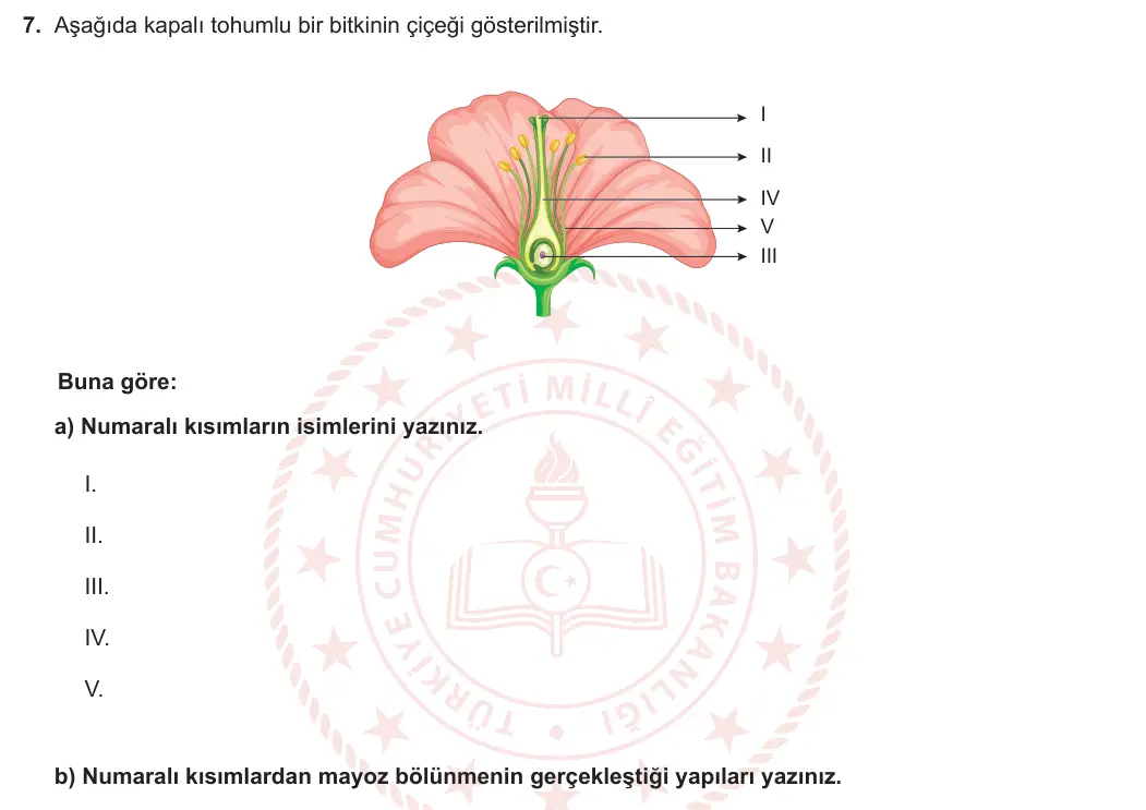 12. Sınıf Biyoloji 2023-2024 2. Dönem 2. Yazılı 1. Bölüm 7. Soru görseli