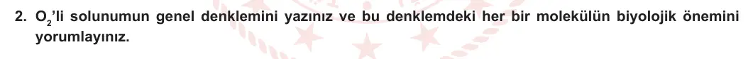 12. Sınıf Biyoloji 2023-2024 2. Dönem 2. Yazılı 2. Bölüm 2. Soru görseli