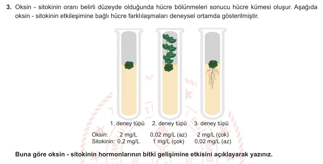 12. Sınıf Biyoloji 2023-2024 2. Dönem 2. Yazılı 2. Bölüm 3. Soru görseli