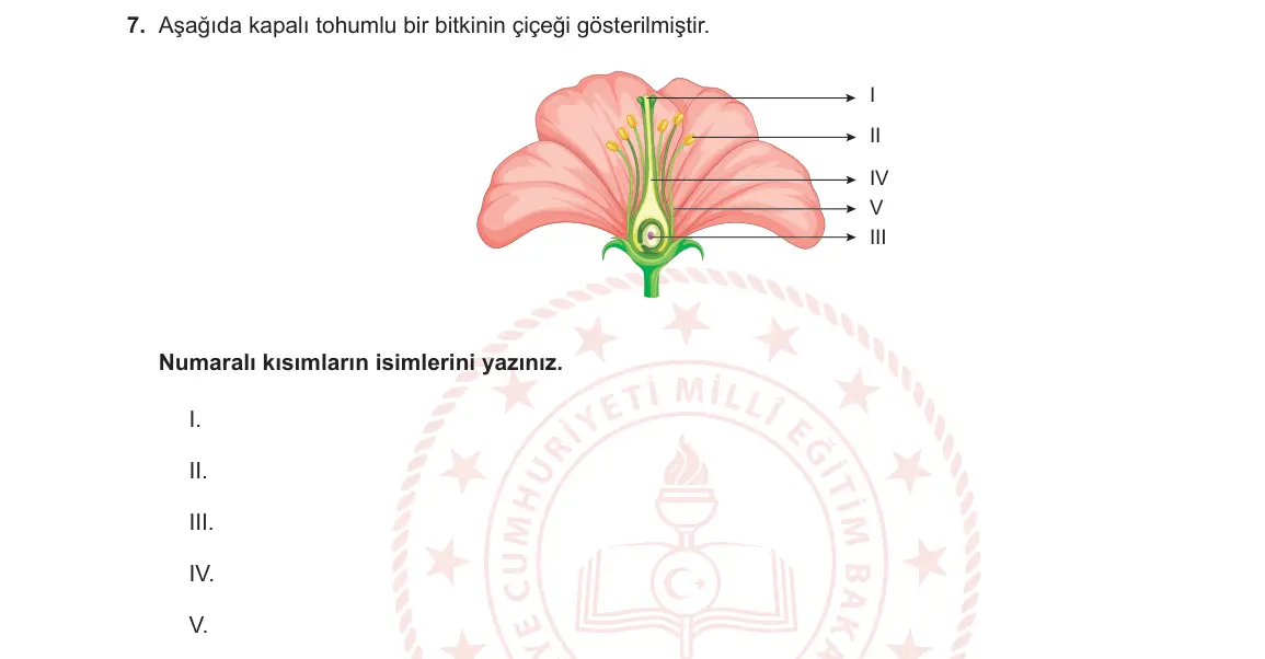 12. Sınıf Biyoloji 2023-2024 2. Dönem 2. Yazılı 2. Bölüm 7. Soru görseli