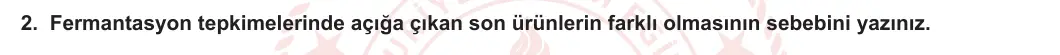12. Sınıf Biyoloji 2023-2024 2. Dönem 2. Yazılı 4. Bölüm 2. Soru görseli