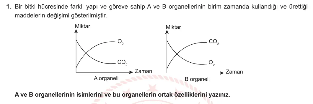 9. Sınıf Biyoloji 2023-2024 2. Dönem 2. Yazılı 1. Bölüm 1. Soru görseli