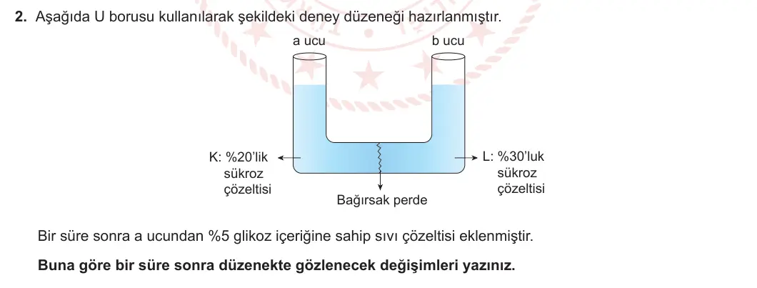 9. Sınıf Biyoloji 2023-2024 2. Dönem 2. Yazılı 1. Bölüm 2. Soru görseli