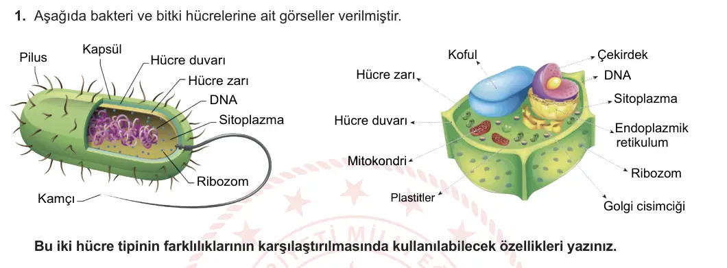 9. Sınıf Biyoloji 2023-2024 2. Dönem 2. Yazılı 2. Bölüm 1. Soru görseli