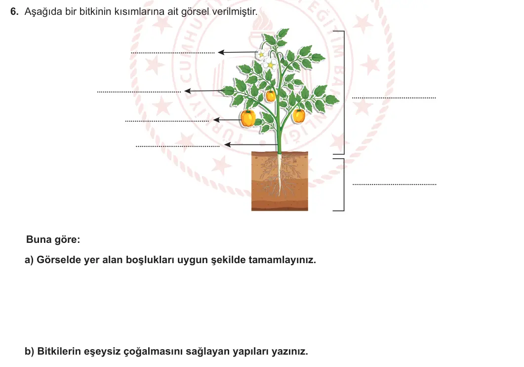 9. Sınıf Biyoloji 2023-2024 2. Dönem 2. Yazılı 2. Bölüm 6. Soru görseli