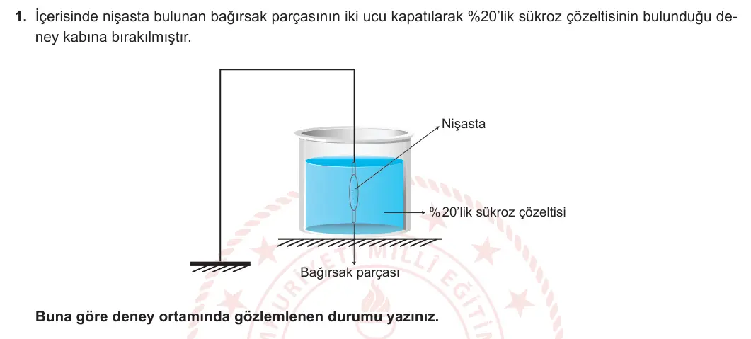 9. Sınıf Biyoloji 2023-2024 2. Dönem 2. Yazılı 4. Bölüm 1. Soru görseli