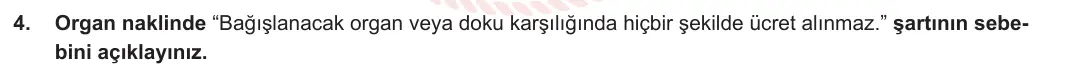 12. Sınıf Din Kültürü ve Ahlak Bilgisi 2023-2024 2. Dönem 2. Yazılı 1. Bölüm 4. Soru görseli