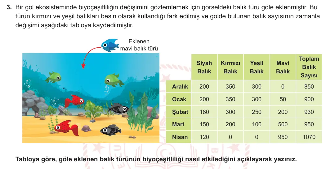 5. Sınıf Fen Bilimleri 2023-2024 2. Dönem 2. Yazılı 2. Bölüm 3. Soru görseli