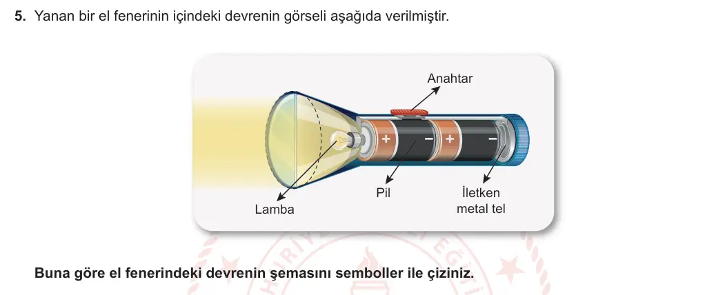 5. Sınıf Fen Bilimleri 2023-2024 2. Dönem 2. Yazılı 2. Bölüm 5. Soru görseli