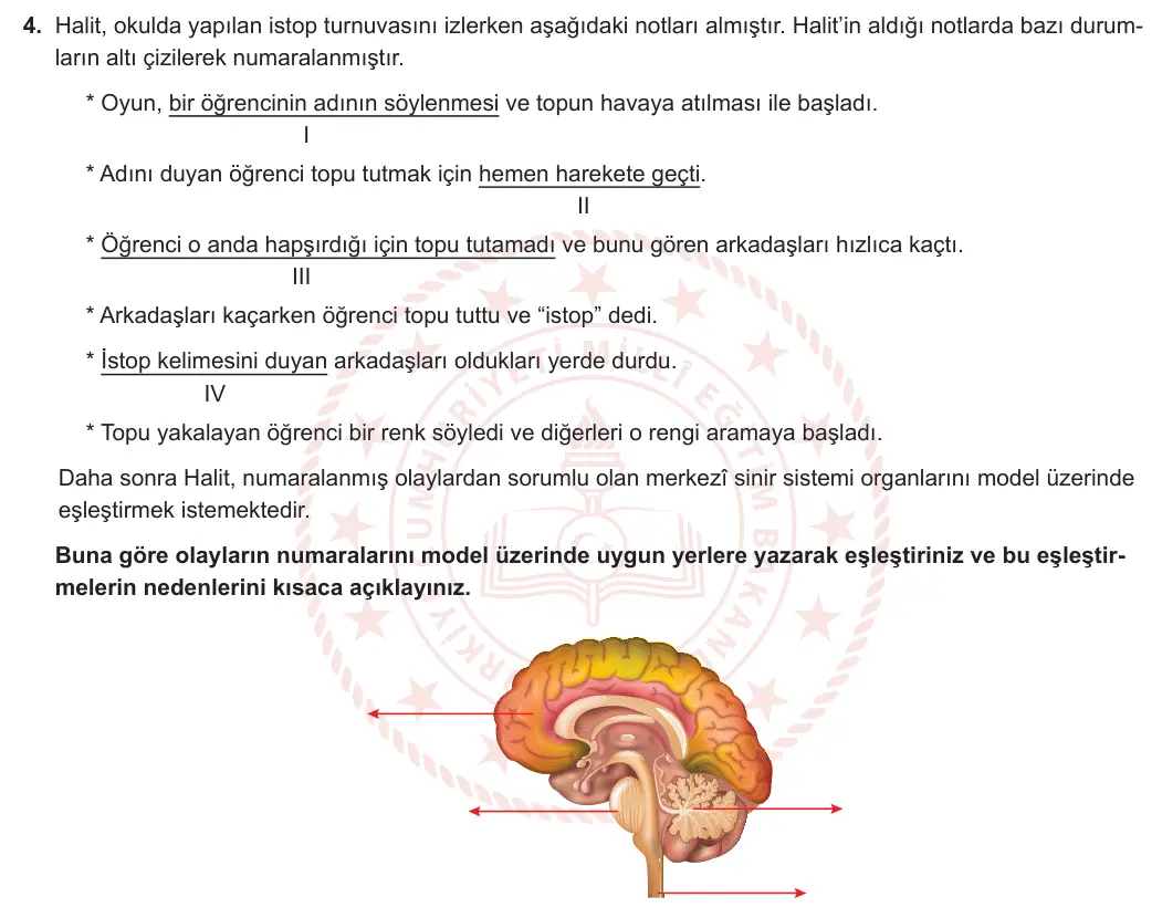 6. Sınıf Fen Bilimleri 2023-2024 2. Dönem 2. Yazılı 1. Bölüm 4. Soru görseli