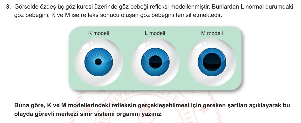 6. Sınıf Fen Bilimleri 2023-2024 2. Dönem 2. Yazılı 2. Bölüm 3. Soru görseli