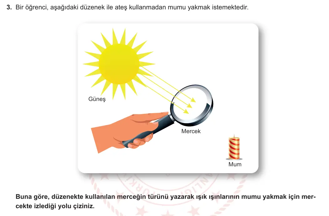 7. Sınıf Fen Bilimleri 2023-2024 2. Dönem 2. Yazılı 1. Bölüm 3. Soru görseli