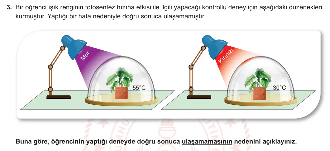 8. Sınıf Fen Bilimleri 2023-2024 2. Dönem 2. Yazılı 2. Bölüm 3. Soru görseli