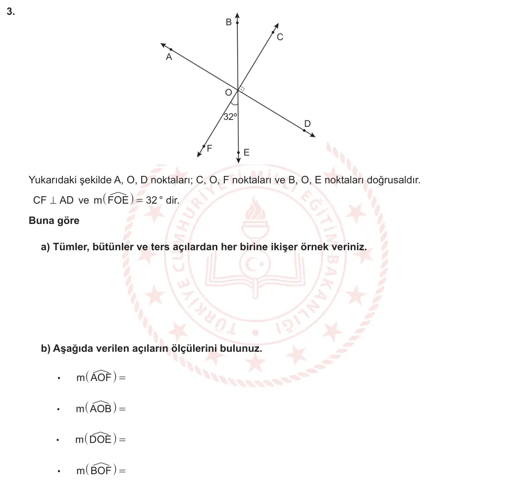 6. Sınıf Matematik 2023-2024 2. Dönem 2. Yazılı 2. Bölüm 3. Soru görseli