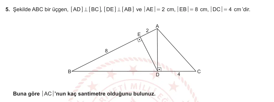 9. Sınıf Matematik 2023-2024 2. Dönem 2. Yazılı 2. Bölüm 5. Soru görseli