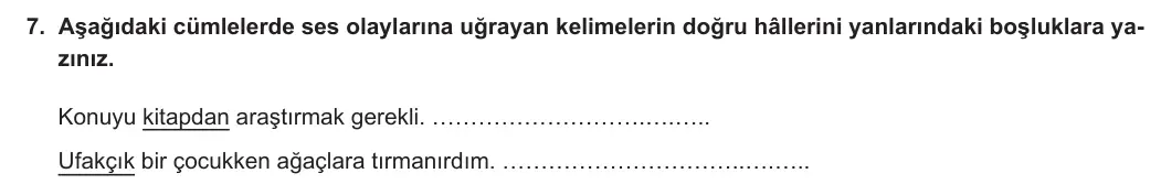 5. Sınıf Türkçe 2023-2024 2. Dönem 2. Yazılı 2. Bölüm 7. Soru görseli