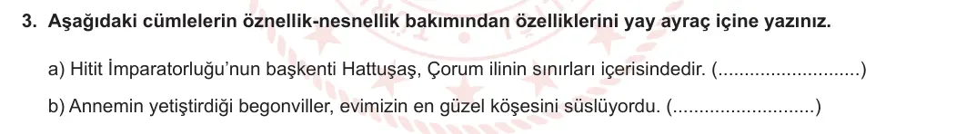 6. Sınıf Türkçe 2023-2024 2. Dönem 2. Yazılı 2. Bölüm 3. Soru (Anka Kuşu Yayınları) görseli