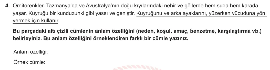 6. Sınıf Türkçe 2023-2024 2. Dönem 2. Yazılı 2. Bölüm 4. Soru (Anka Kuşu Yayınları) görseli
