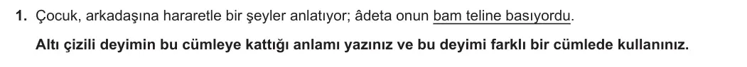 8. Sınıf Türkçe 2023-2024 2. Dönem 2. Yazılı 2. Bölüm 1. Soru (Ferman Yayınları) görseli