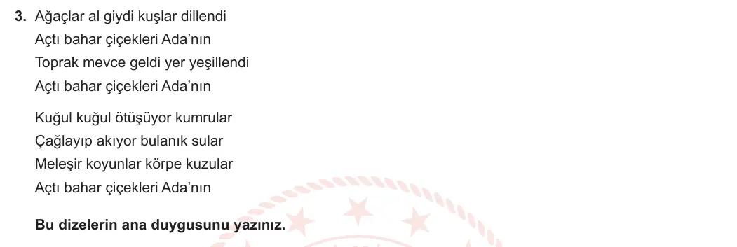 8. Sınıf Türkçe 2023-2024 2. Dönem 2. Yazılı 2. Bölüm 3. Soru (Ferman Yayınları) görseli