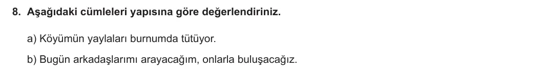 8. Sınıf Türkçe 2023-2024 2. Dönem 2. Yazılı 1. Bölüm 8. Soru (MEB Yayınları) görseli