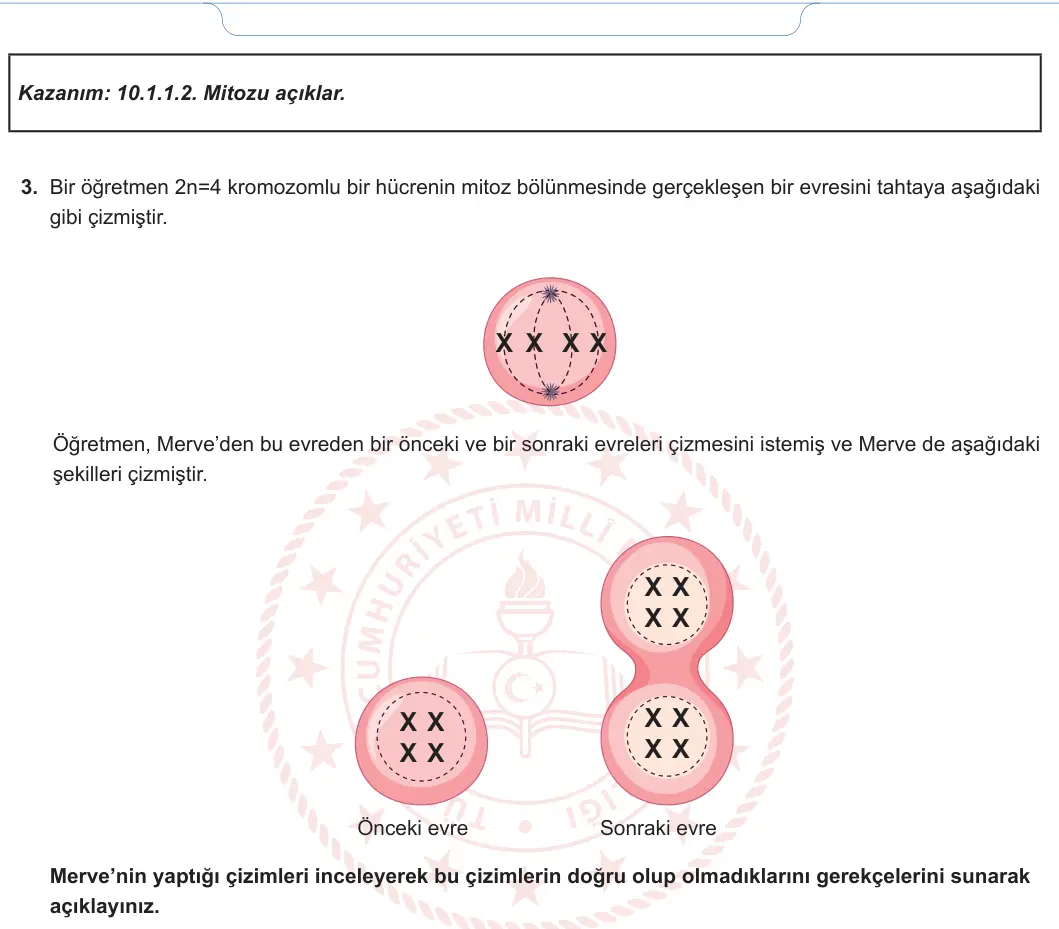10. Sınıf Biyoloji 2024-2025 1. Dönem 1. Yazılı 2. Soru görseli (2/2)