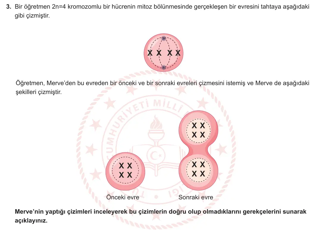 10. Sınıf Biyoloji 2024-2025 1. Dönem 1. Yazılı 3. Soru görseli (1/2)