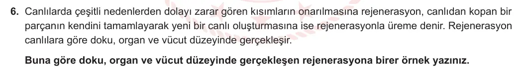 10. Sınıf Biyoloji 2024-2025 1. Dönem 1. Yazılı 6. Soru görseli (1/2)