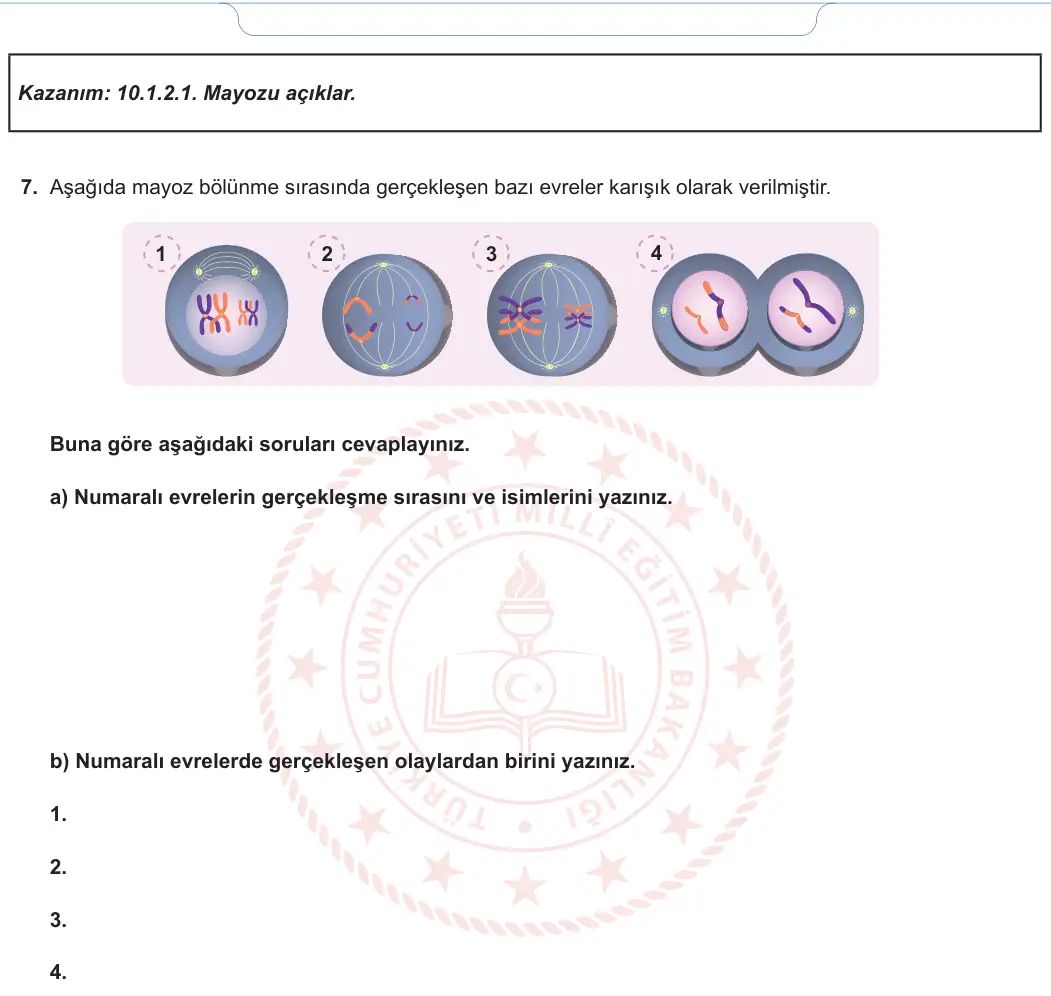 10. Sınıf Biyoloji 2024-2025 1. Dönem 1. Yazılı 6. Soru görseli (2/2)