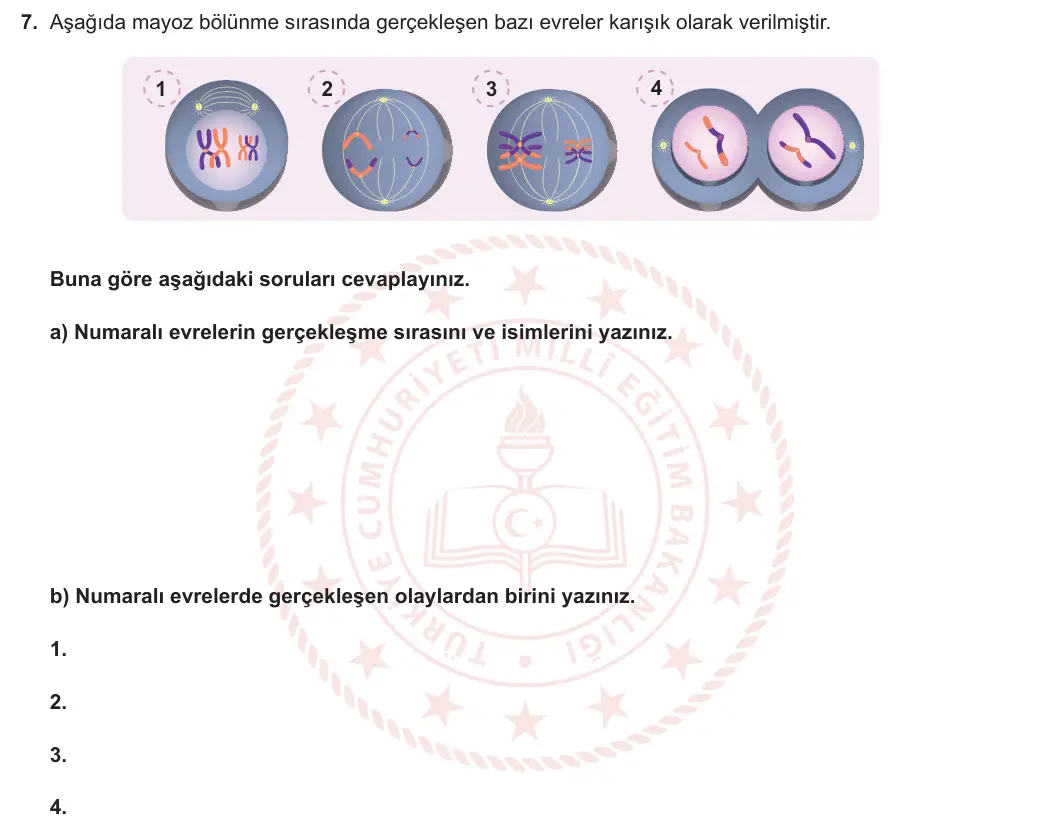 10. Sınıf Biyoloji 2024-2025 1. Dönem 1. Yazılı 7. Soru görseli