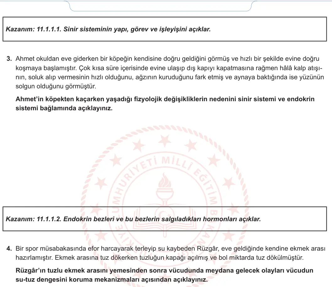11. Sınıf Biyoloji 2024-2025 1. Dönem 1. Yazılı 2. Soru görseli (2/2)
