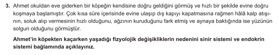 11. Sınıf Biyoloji 2024-2025 1. Dönem 1. Yazılı 3. Soru görseli