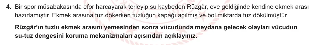 11. Sınıf Biyoloji 2024-2025 1. Dönem 1. Yazılı 4. Soru görseli (1/2)