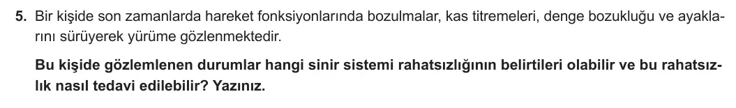 11. Sınıf Biyoloji 2024-2025 1. Dönem 1. Yazılı 5. Soru görseli