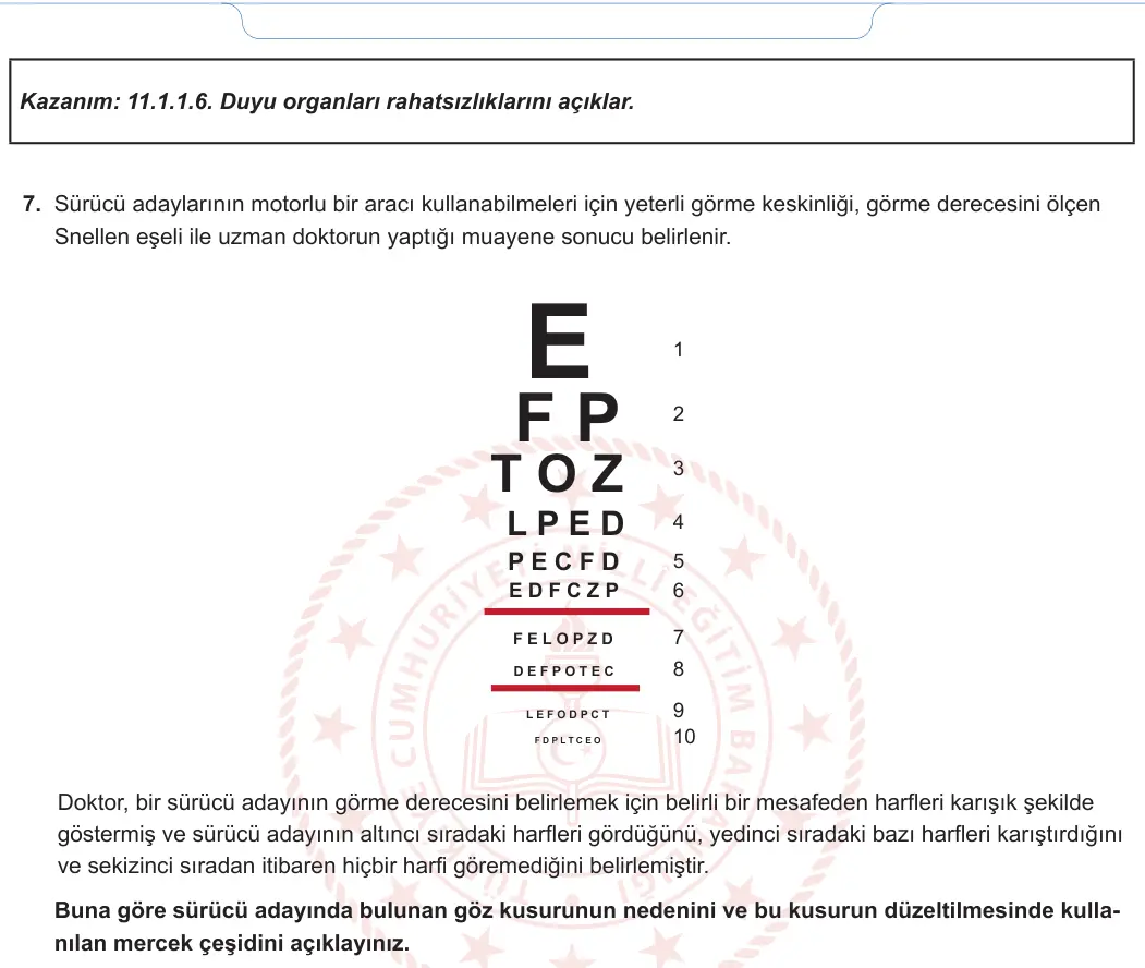 11. Sınıf Biyoloji 2024-2025 1. Dönem 1. Yazılı 6. Soru görseli (2/2)