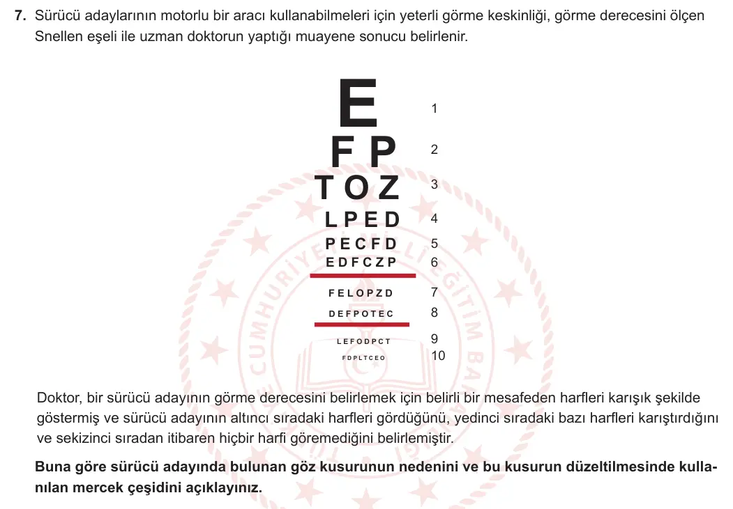 11. Sınıf Biyoloji 2024-2025 1. Dönem 1. Yazılı 7. Soru görseli