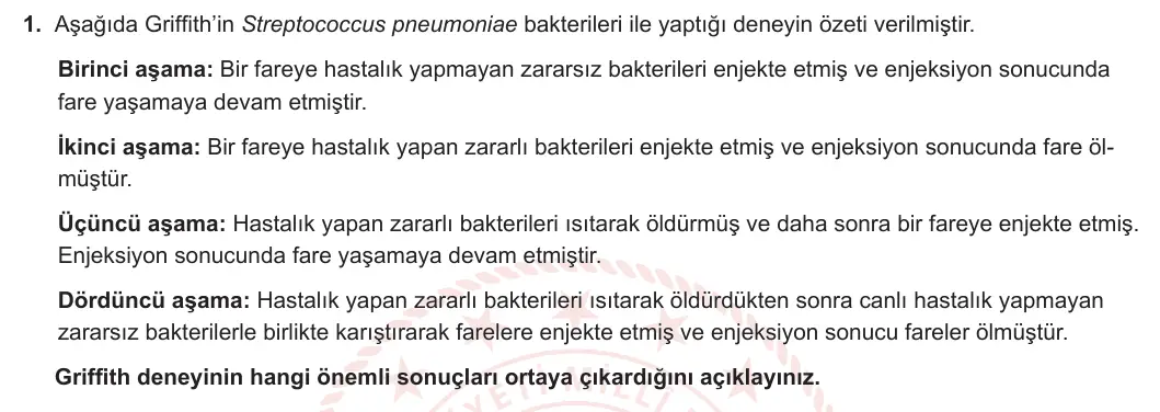 12. Sınıf Biyoloji 2024-2025 1. Dönem 1. Yazılı 1. Soru görseli (1/2)