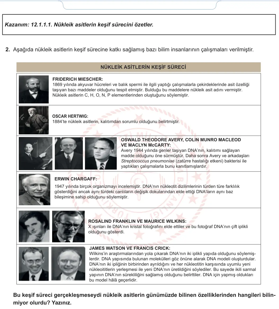 12. Sınıf Biyoloji 2024-2025 1. Dönem 1. Yazılı 1. Soru görseli (2/2)