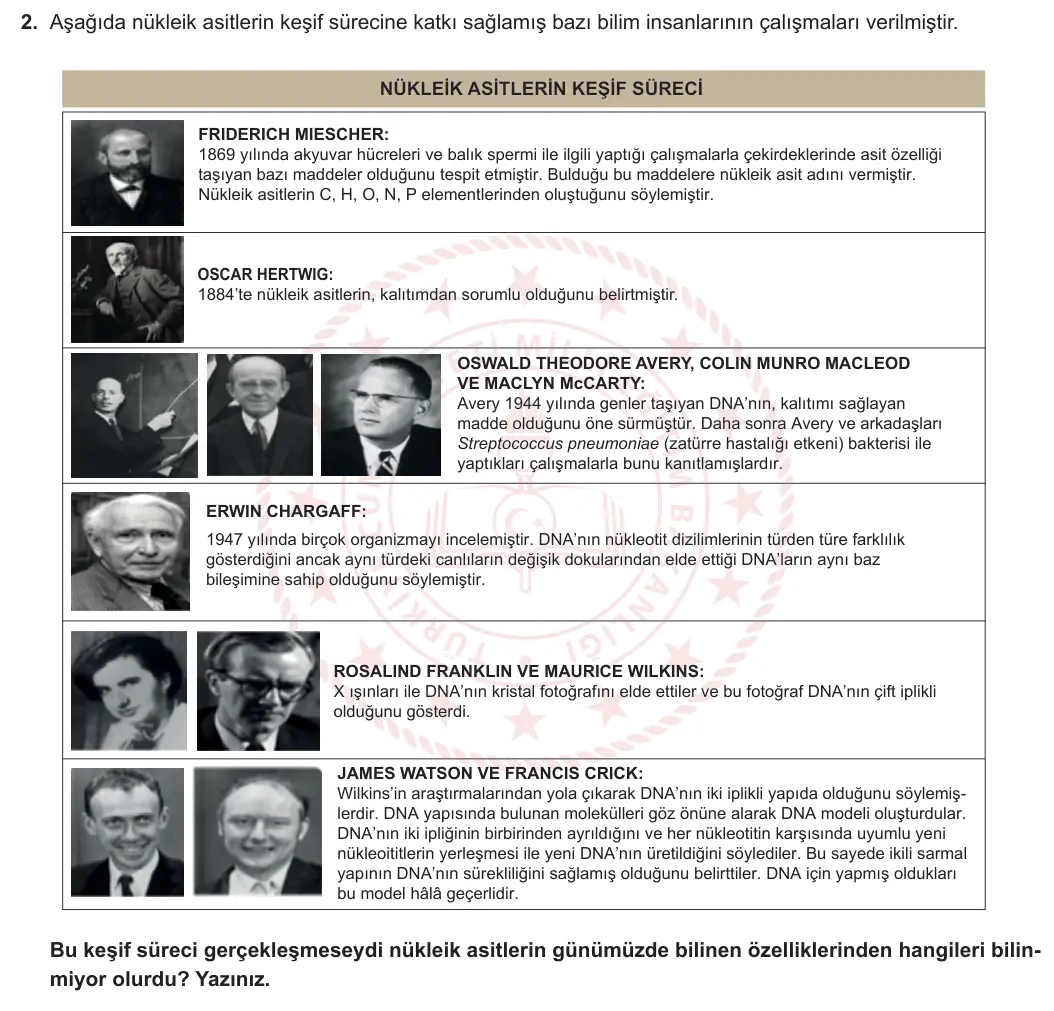 12. Sınıf Biyoloji 2024-2025 1. Dönem 1. Yazılı 2. Soru görseli (1/2)