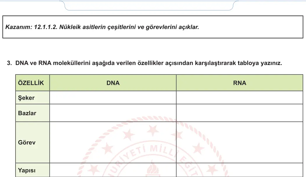 12. Sınıf Biyoloji 2024-2025 1. Dönem 1. Yazılı 2. Soru görseli (2/2)