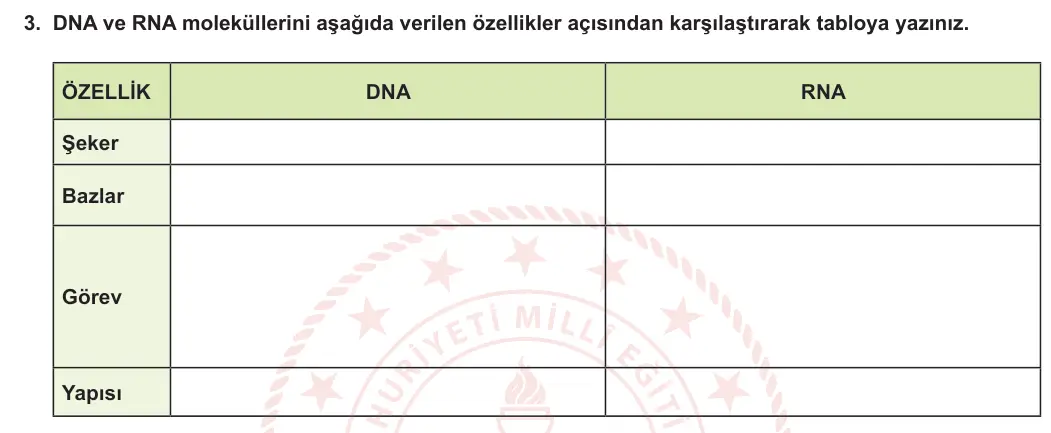 12. Sınıf Biyoloji 2024-2025 1. Dönem 1. Yazılı 3. Soru görseli (1/2)
