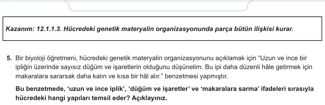 12. Sınıf Biyoloji 2024-2025 1. Dönem 1. Yazılı 4. Soru görseli (2/2)