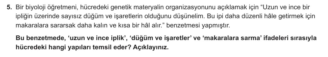 12. Sınıf Biyoloji 2024-2025 1. Dönem 1. Yazılı 5. Soru görseli (1/2)