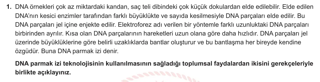 9. Sınıf Biyoloji 2024-2025 1. Dönem 1. Yazılı 1. Soru görseli